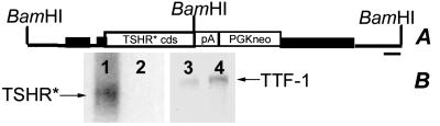 Fig 6.