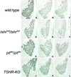 Fig 3.