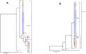 Fig 3