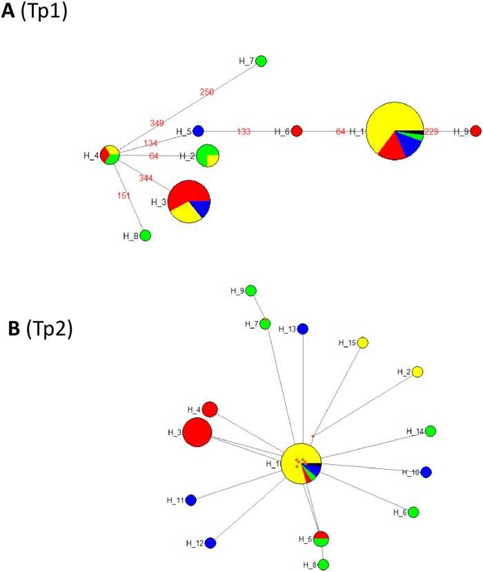 Fig 5