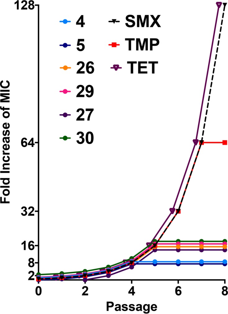 FIG 1