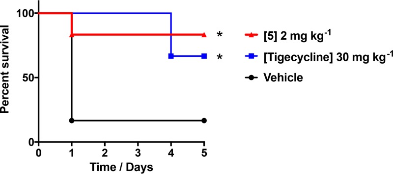 FIG 3