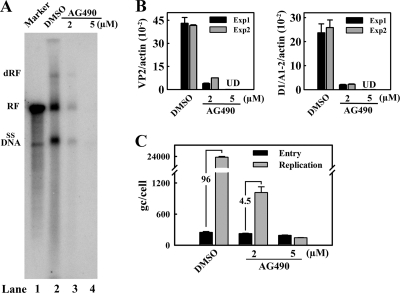 FIG. 7.