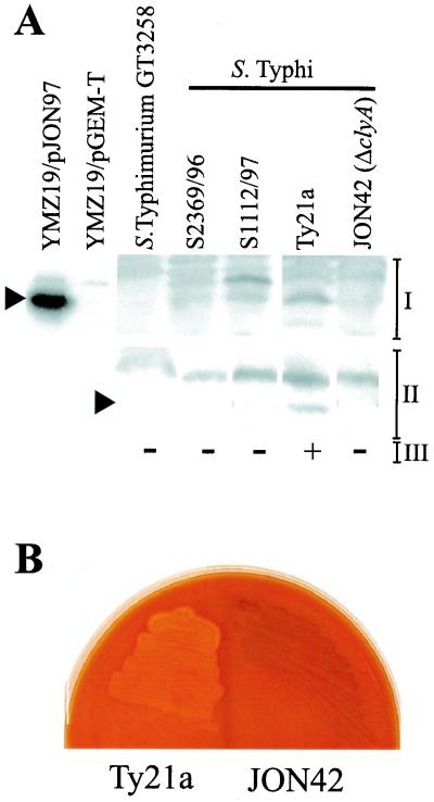 FIG. 5.