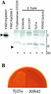 FIG. 5.