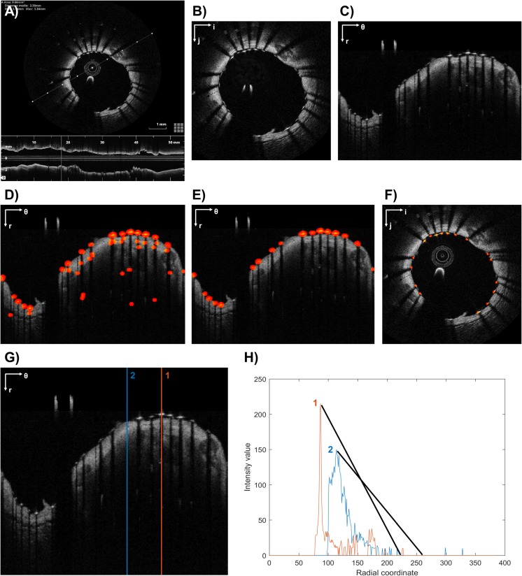 Fig. 3