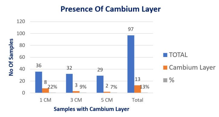 Chart 3. Presence of Cambium Layer in Periosteal Samples.