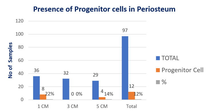 Chart 4. Presence of Osteoprogenitor Cells in Periosteal Samples.