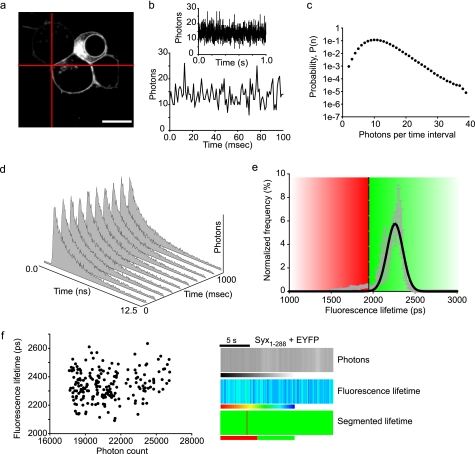 FIGURE 3.