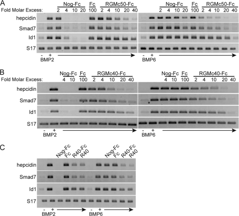 FIGURE 4.