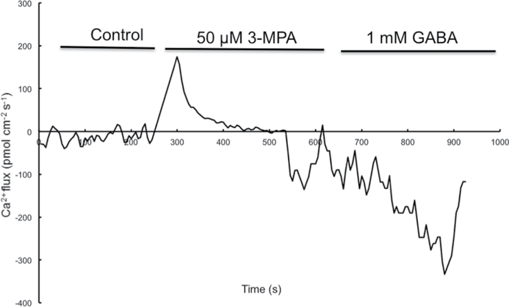 Fig. 8.