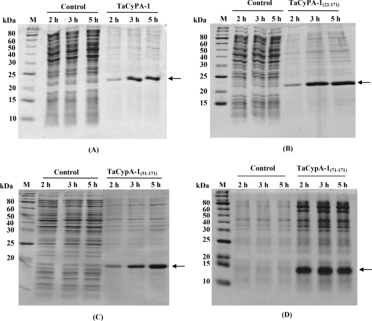 Fig. 4