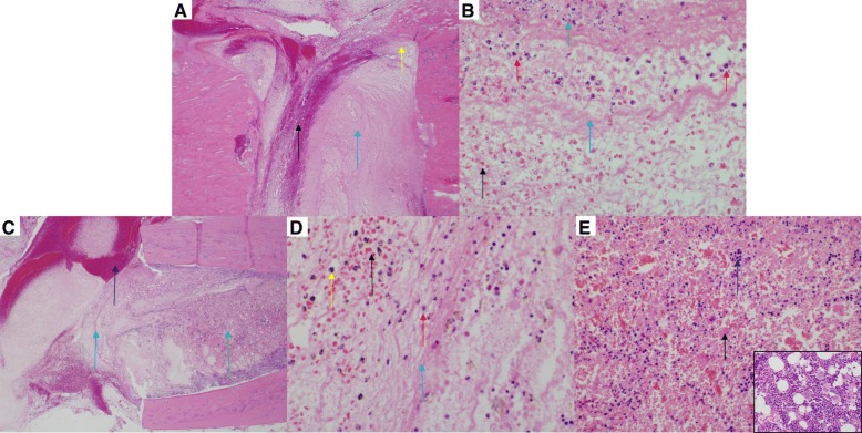 Fig. 5