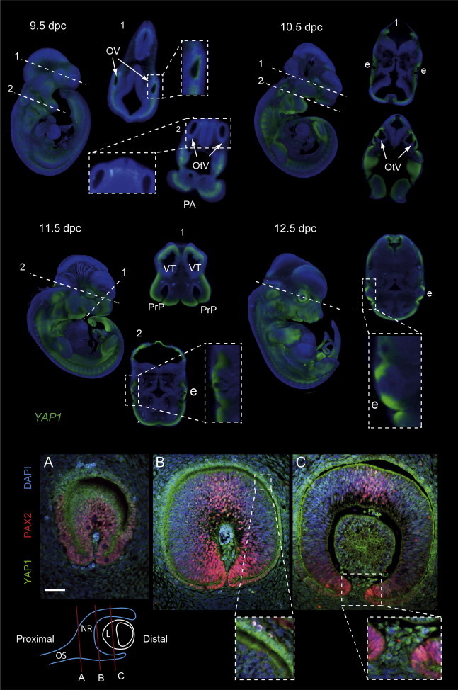 Figure 2