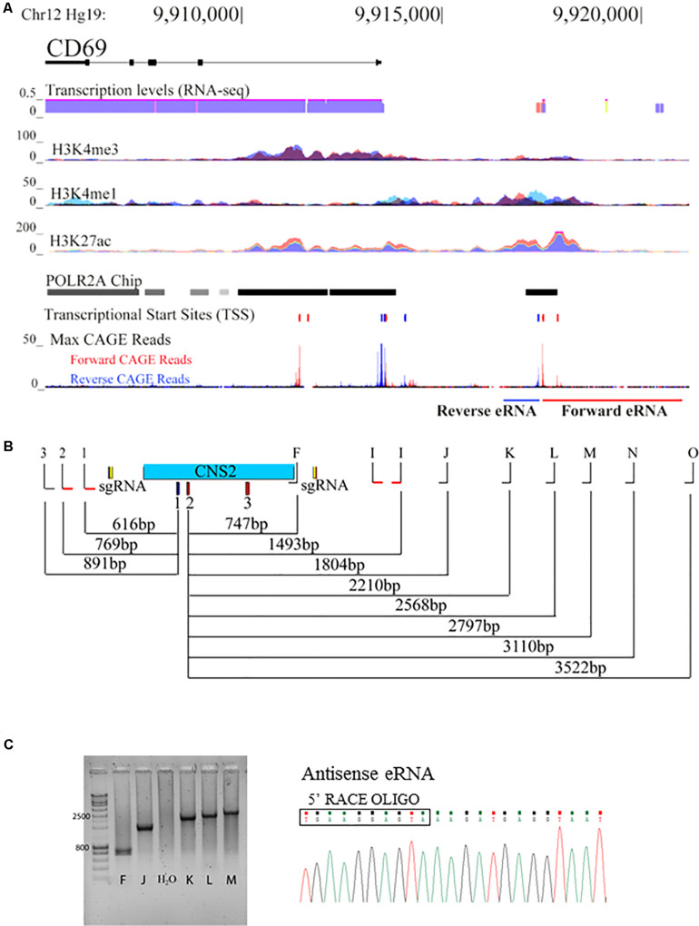 FIGURE 3