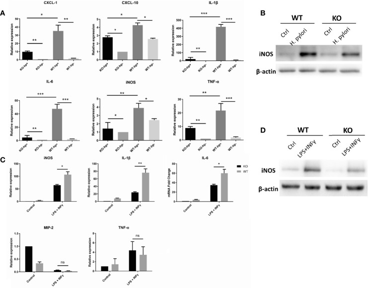 Figure 5