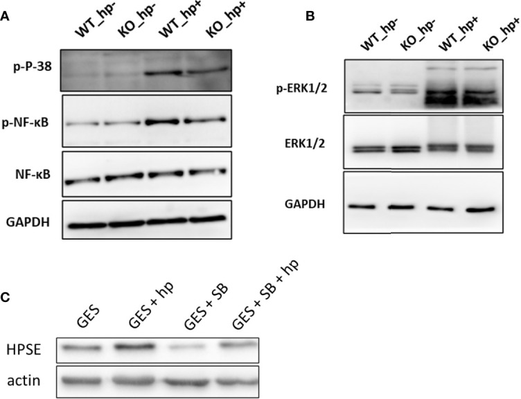 Figure 6