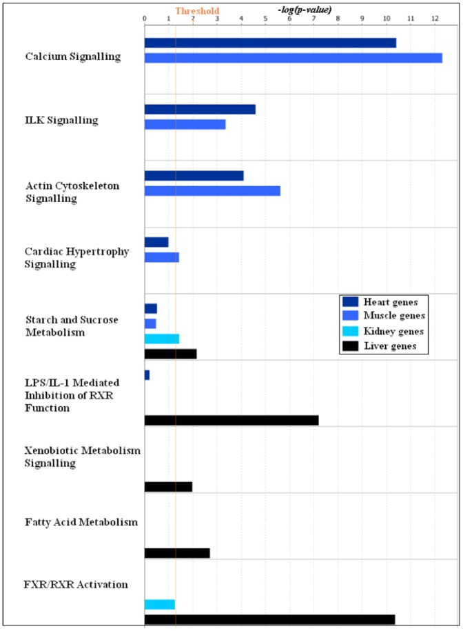 Figure 7