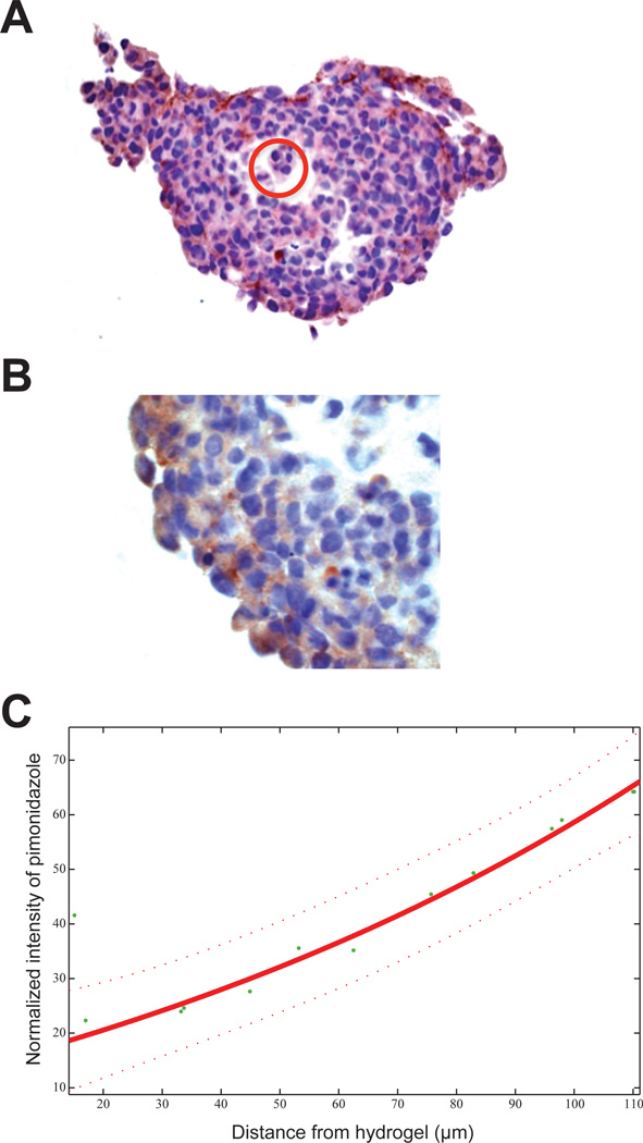 Fig. 8