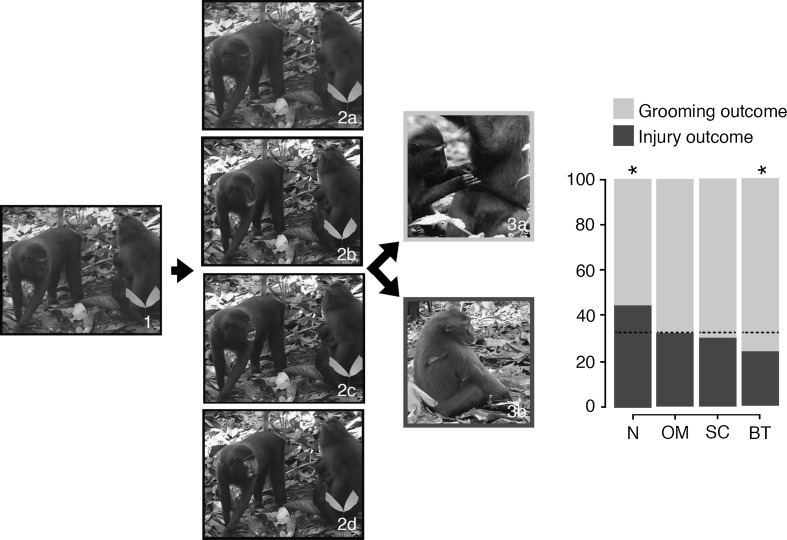 Fig. 1