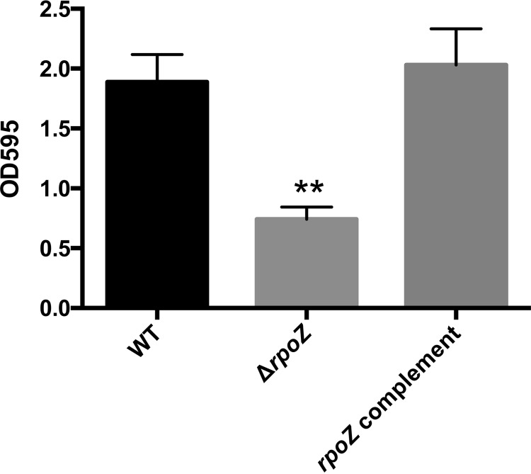 FIG 6