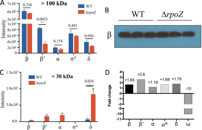 FIG 2