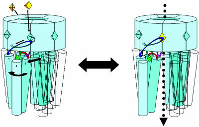 Fig. 4.