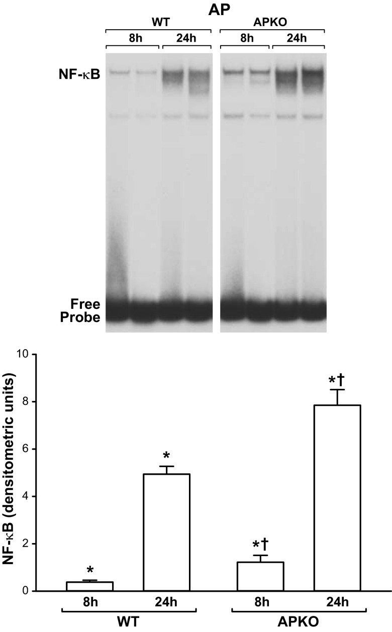 Fig. 5.