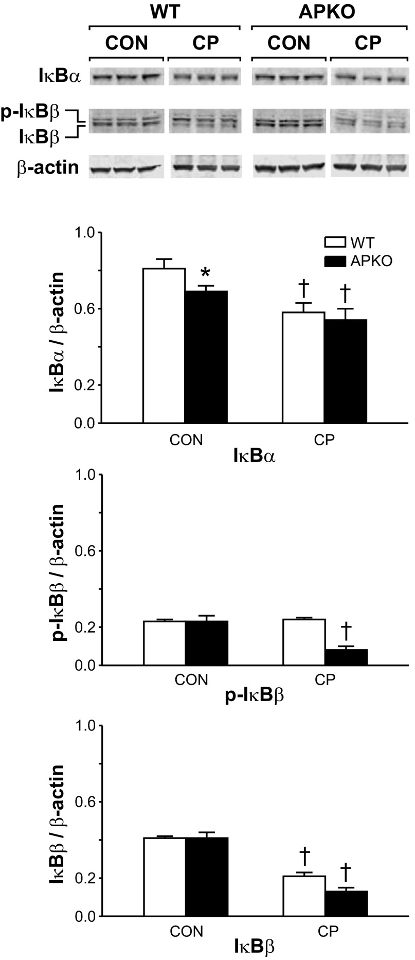 Fig. 9.