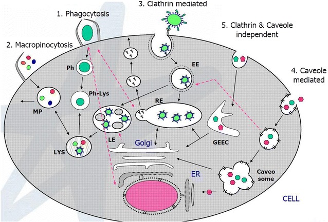 Fig. 2