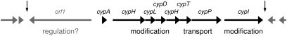 Fig. 2.