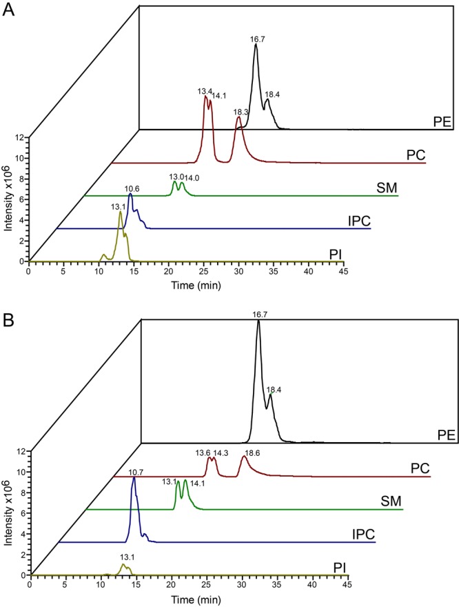 Fig. 5.