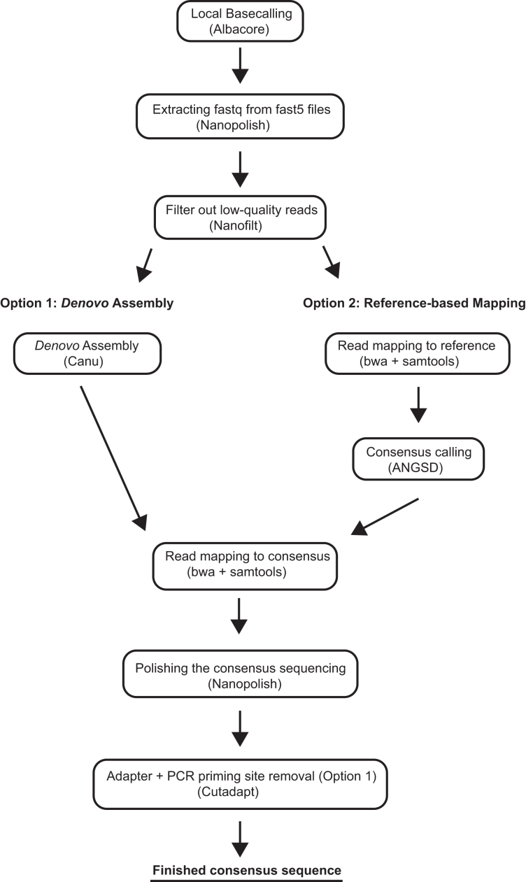 Figure 2: