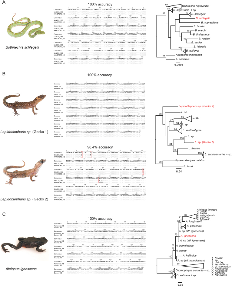 Figure 3: