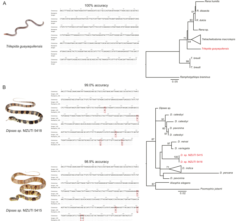 Figure 4: