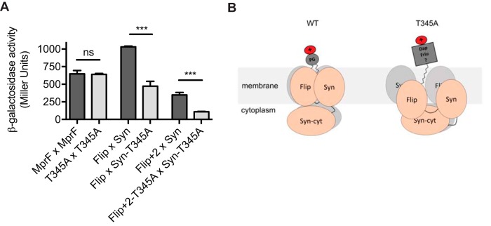 FIG 6