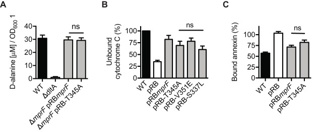 FIG 3