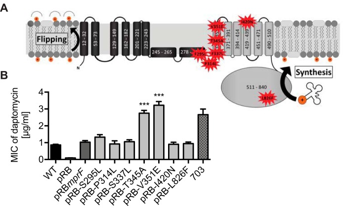 FIG 1