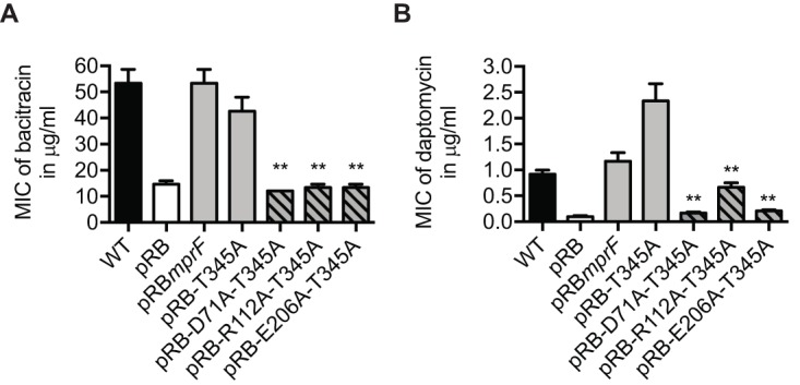 FIG 5