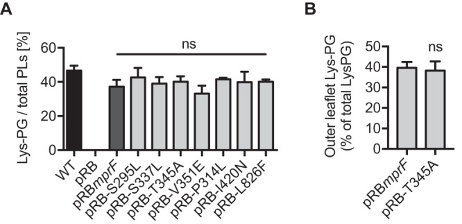 FIG 2