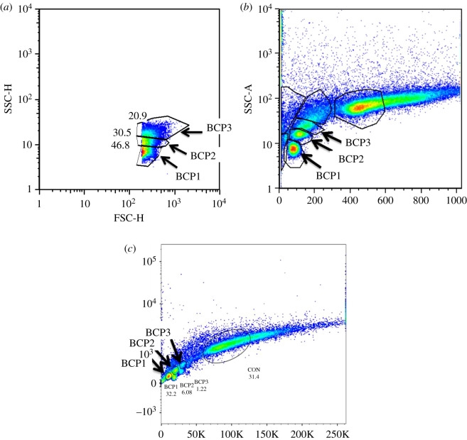 Figure 2.