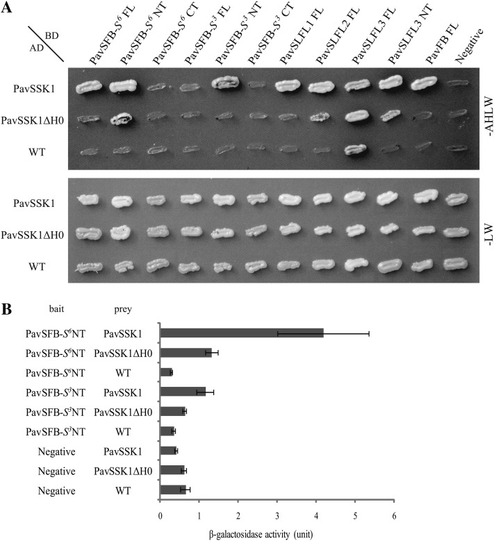 Figure 4.