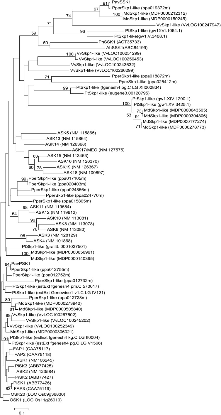 Figure 3.