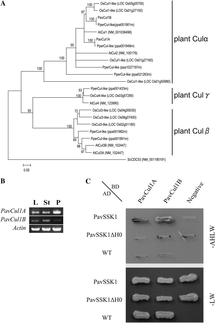 Figure 5.