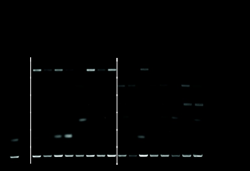 Fig A1.