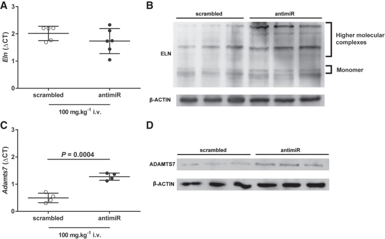 FIGURE 11.