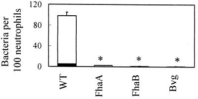 FIG. 1