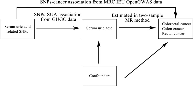 Figure 1