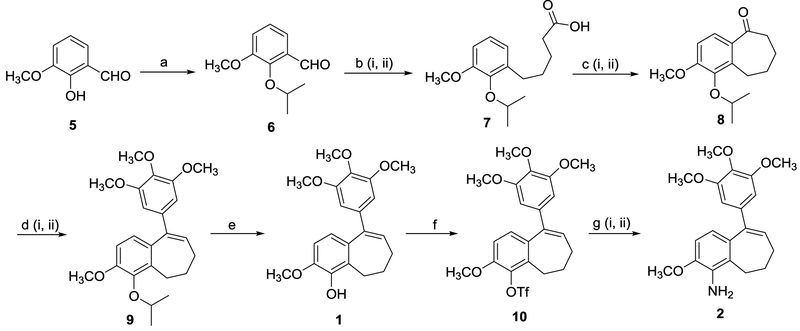 Scheme 2.