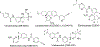 Figure 13.
